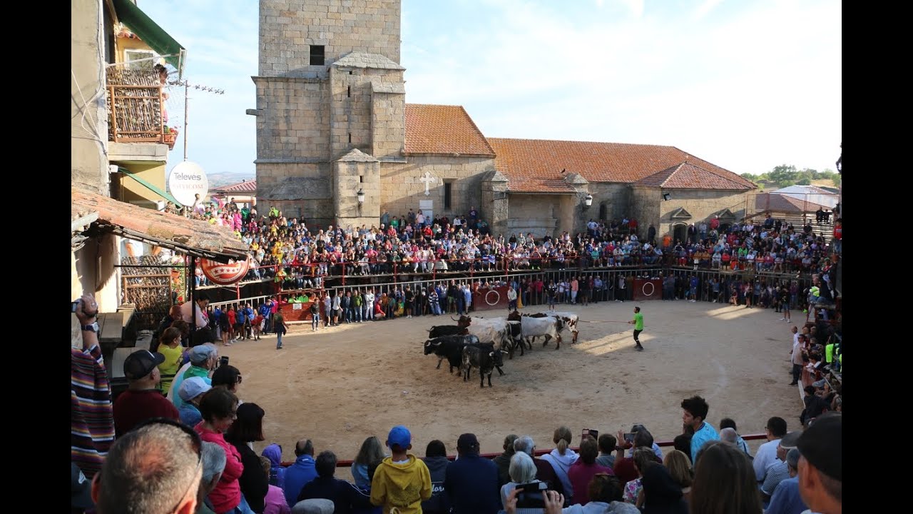 Tercer encierro de Aldeadávila, con novillos de Los Bayones