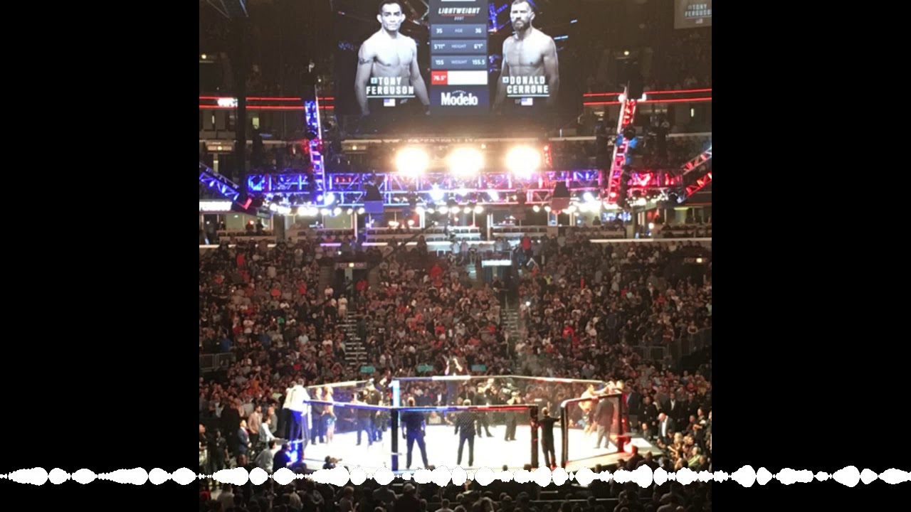 MMA #21 UFC 238 Recap