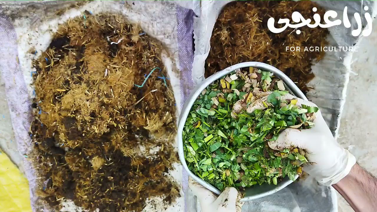 تحلل حرارى | خطوات تحلل المخلفات العضويه بصوره صحيحه #زراعنجى