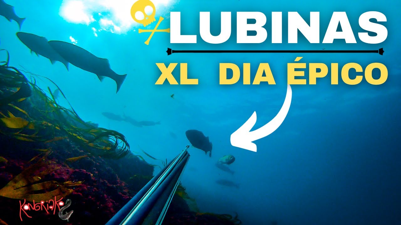✅LUBINAS XL🔴El  MEJOR DIA DE PESCA SUBMARINA en 2023 [NUNCA VÍ TANTAS]