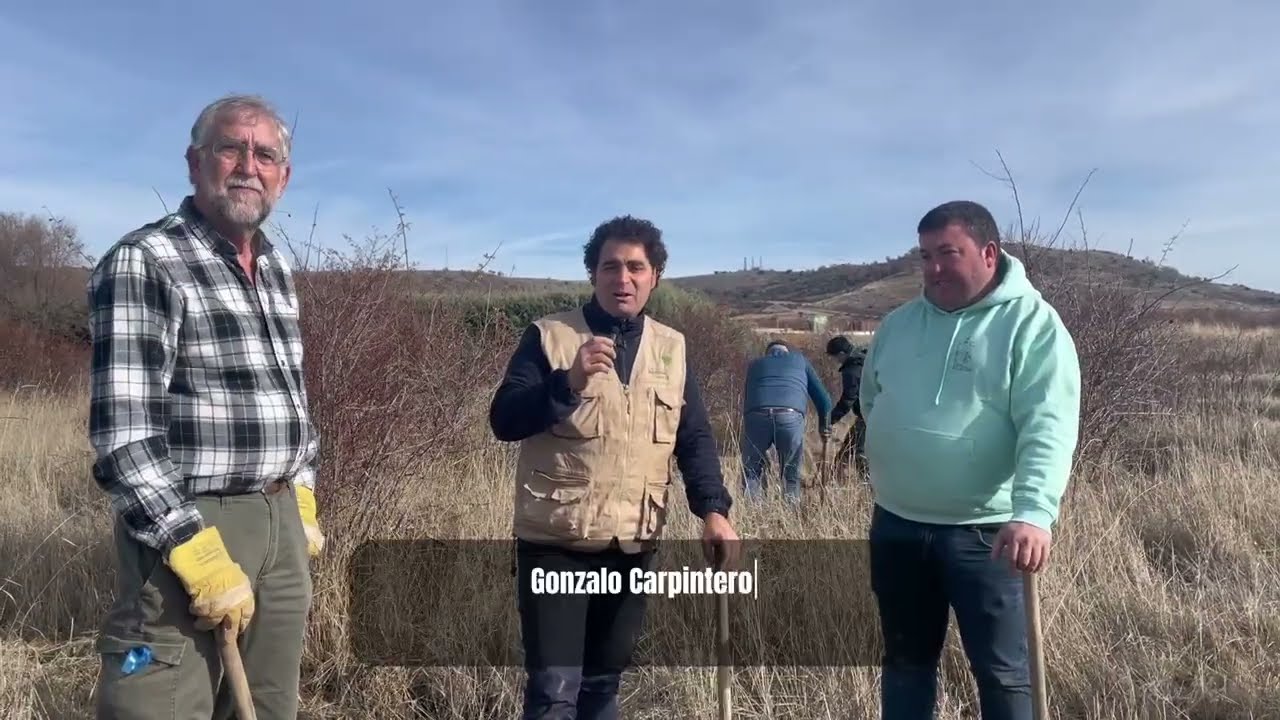 Reforestación parque La Dehesa