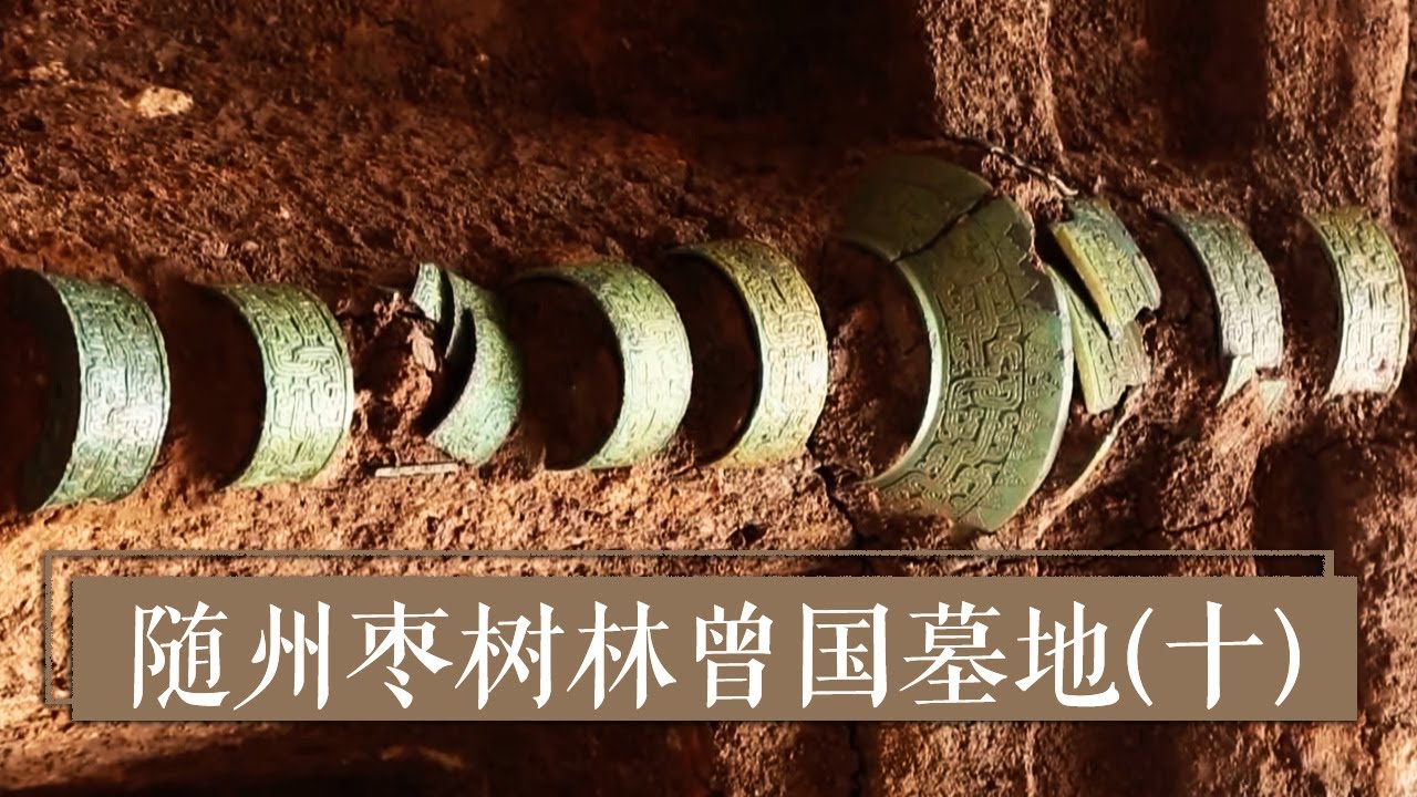 《2020考古进行时》第二季 随州枣树林曾国墓地（十） 长达23米的大型车坑到底是谁的陪葬？ | 中华国宝