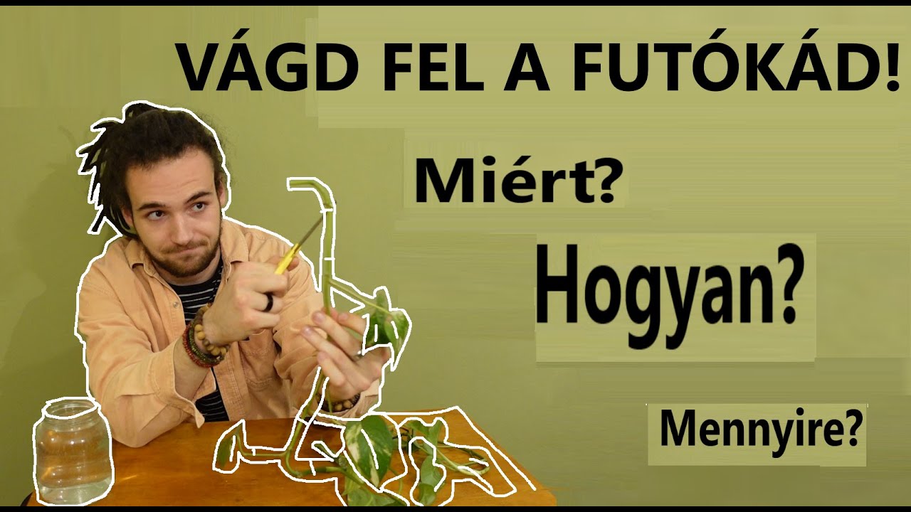 Szobai fut&oacute;ka feldarabol&aacute;sa