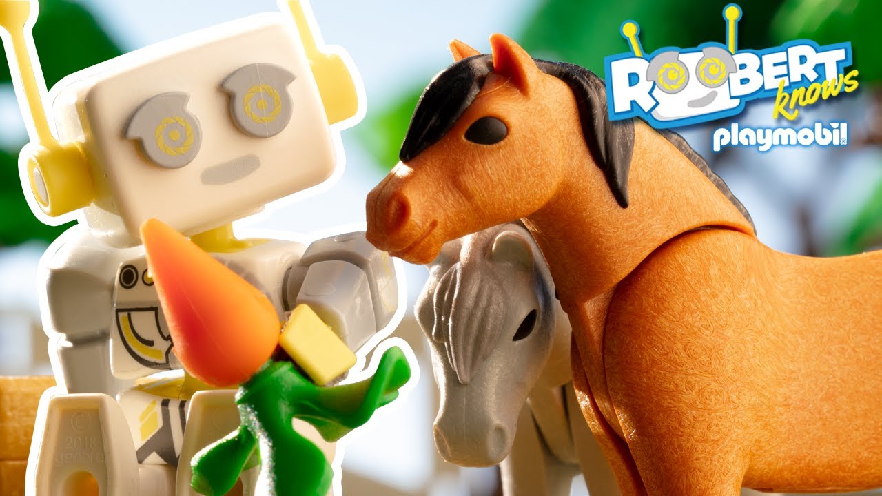 Kann man Ponys mit dem Auto transportieren? | ROBert erklärt | PLAYMOBIL Kinderfilm