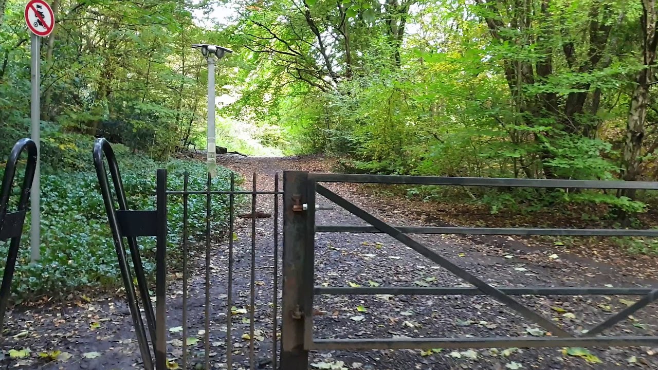 Kersal Dale Walk 11th October 2020