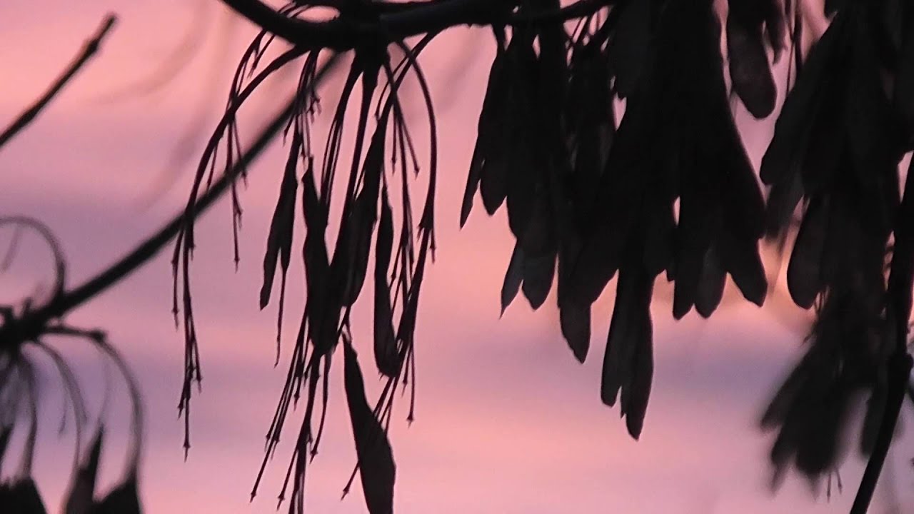 Panasonic HDC-SD80 test