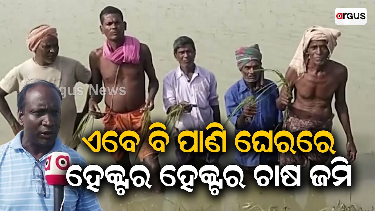 Bhadrak: Hectares Of Agricultural Land Submerged In Flood Water In Chandbali