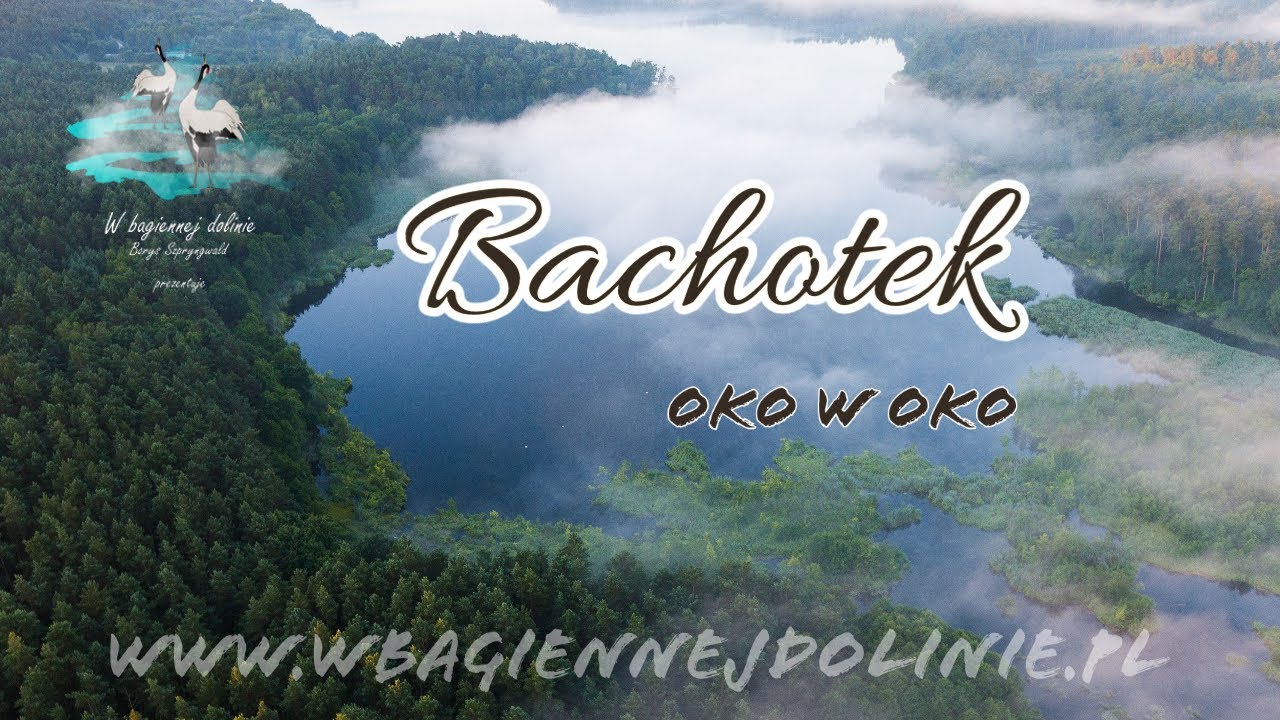 Bachotek - oko w oko