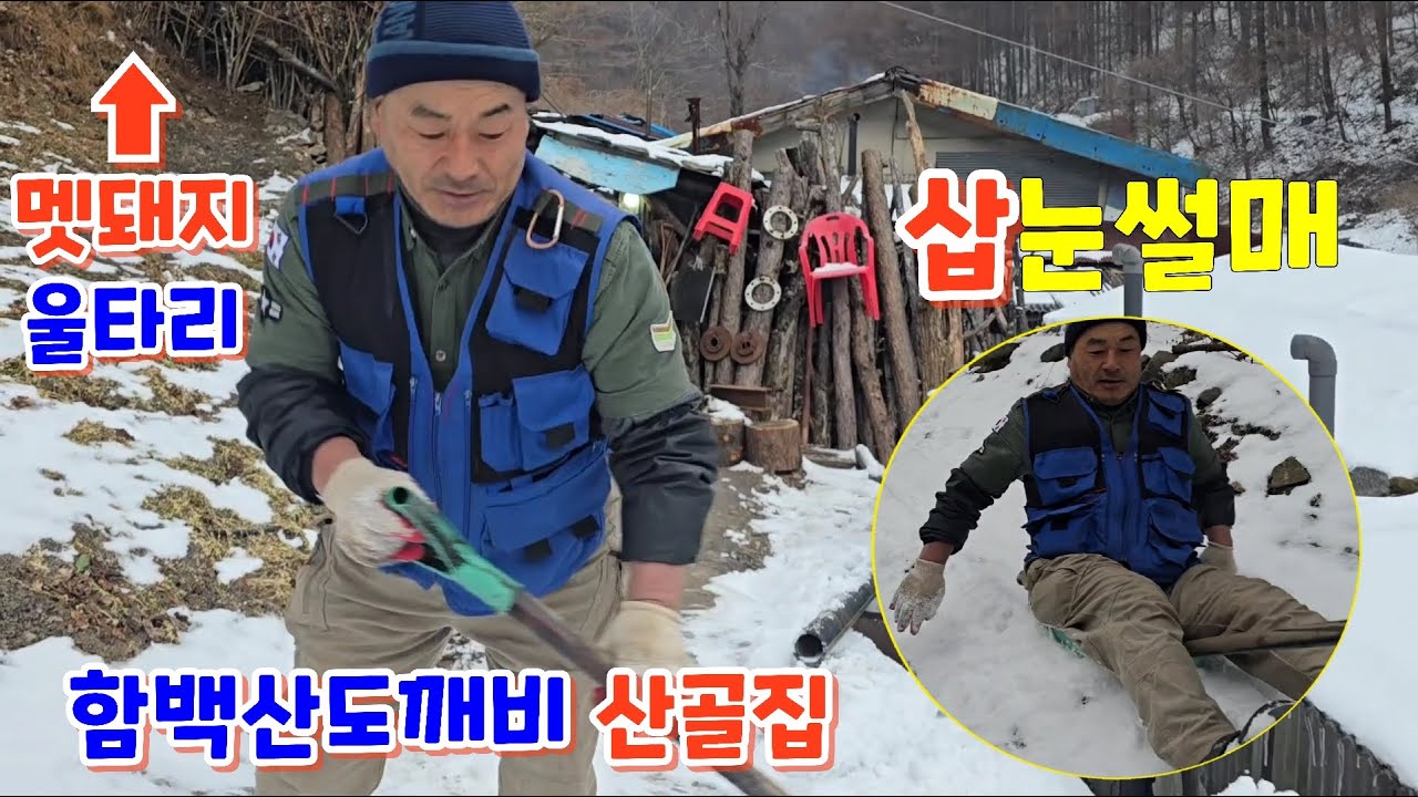 함백산도깨비님 산골집은 삽눈썰매도 타고 멧돼지 울타리도 있어요~
