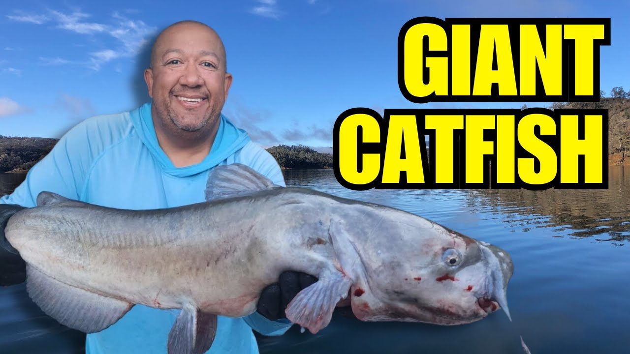 We Went To Lake Berryessa With Frozen Gas Station Bait & This Happened!