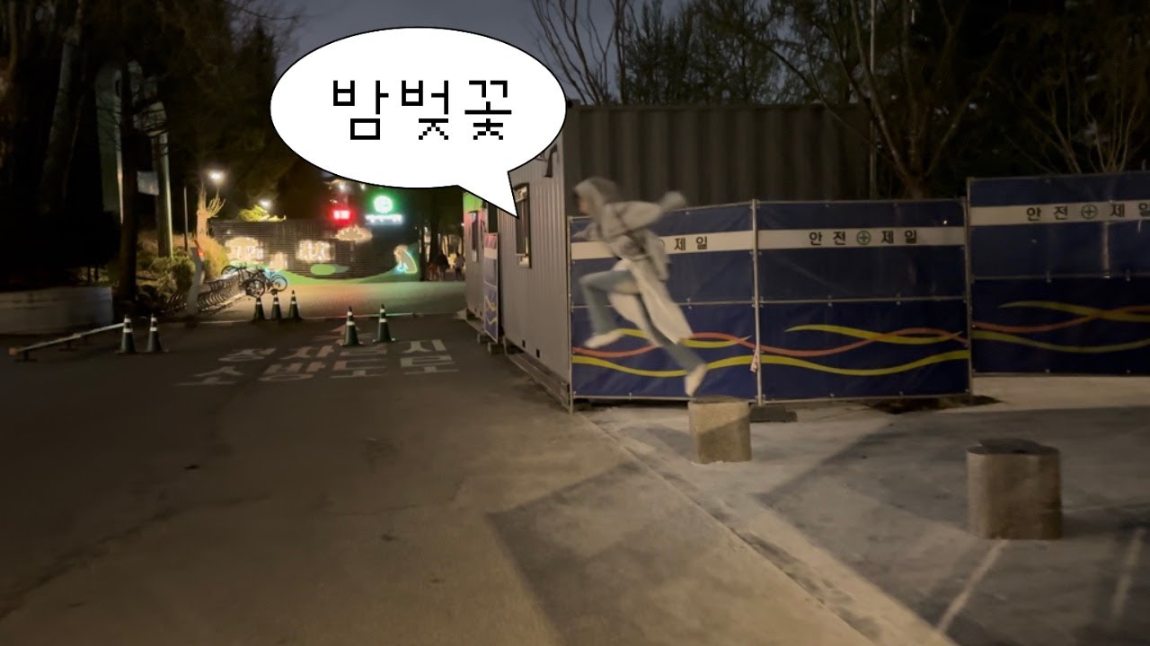 밤벚꽃 🌸