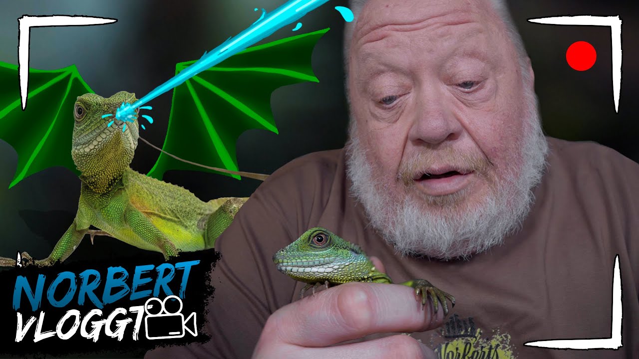 GR&Uuml;NER WASSERDRACHE | NORBERT VLOGGT | Zoo Zajac