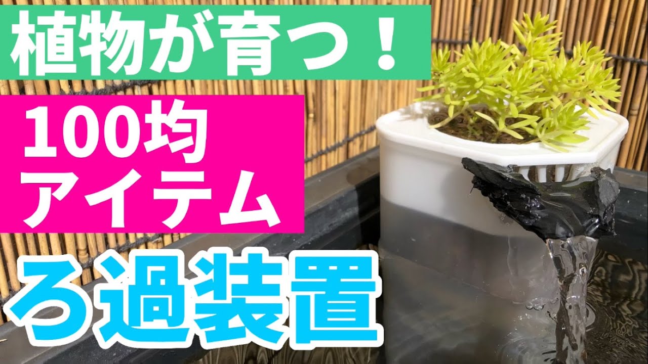 「100均のお茶ボトルで簡単ろ過装置製作！」　メダカ飼育　メダカビオトープ　金魚