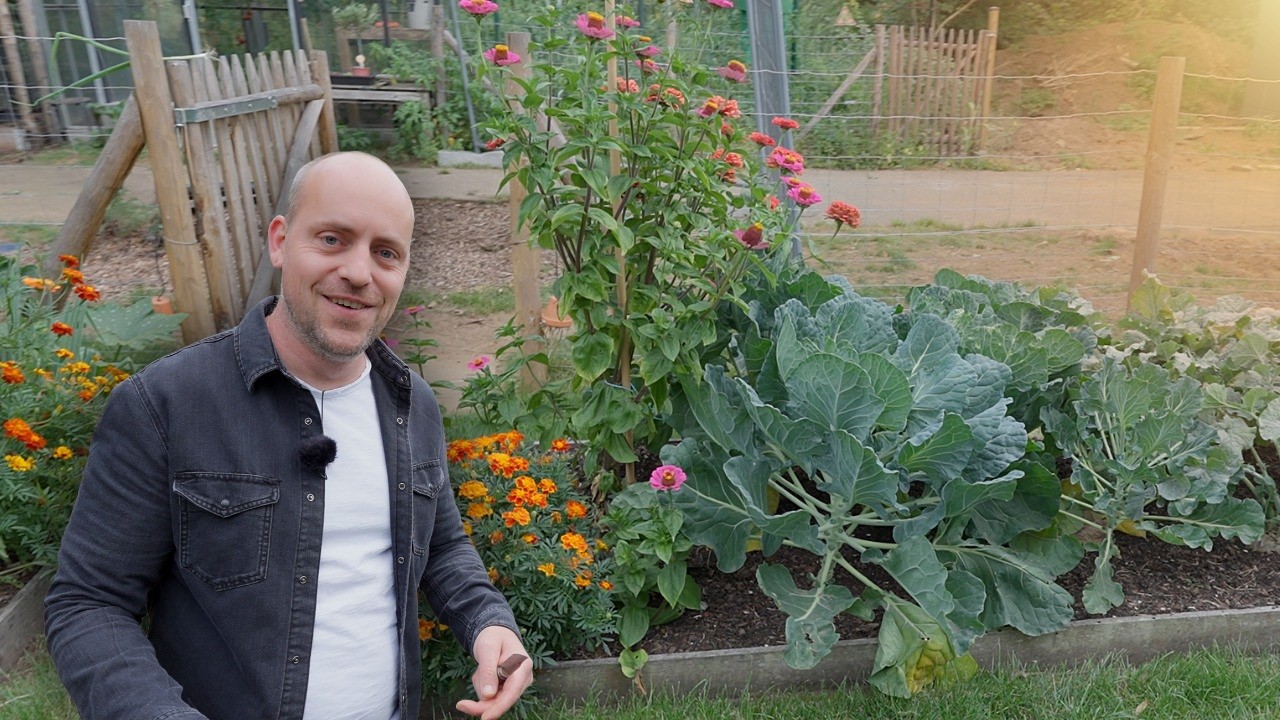 Rondleiding in Sam's Moestuin | augustus 2025