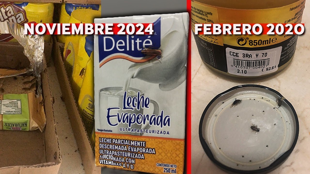 CUCARACHAS en 3ra y 70, en estantes y productos, SIGUEN allí