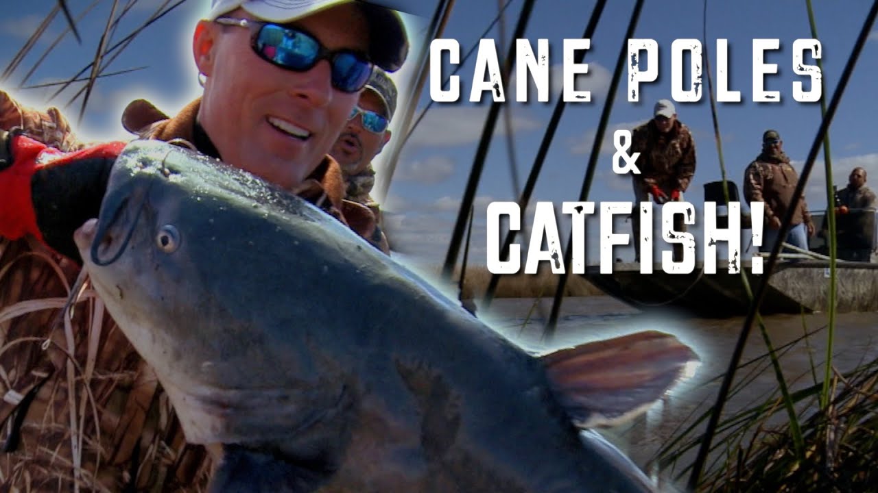 Out Da' Bayou TV How to catch Catfish on a Cane Poles
