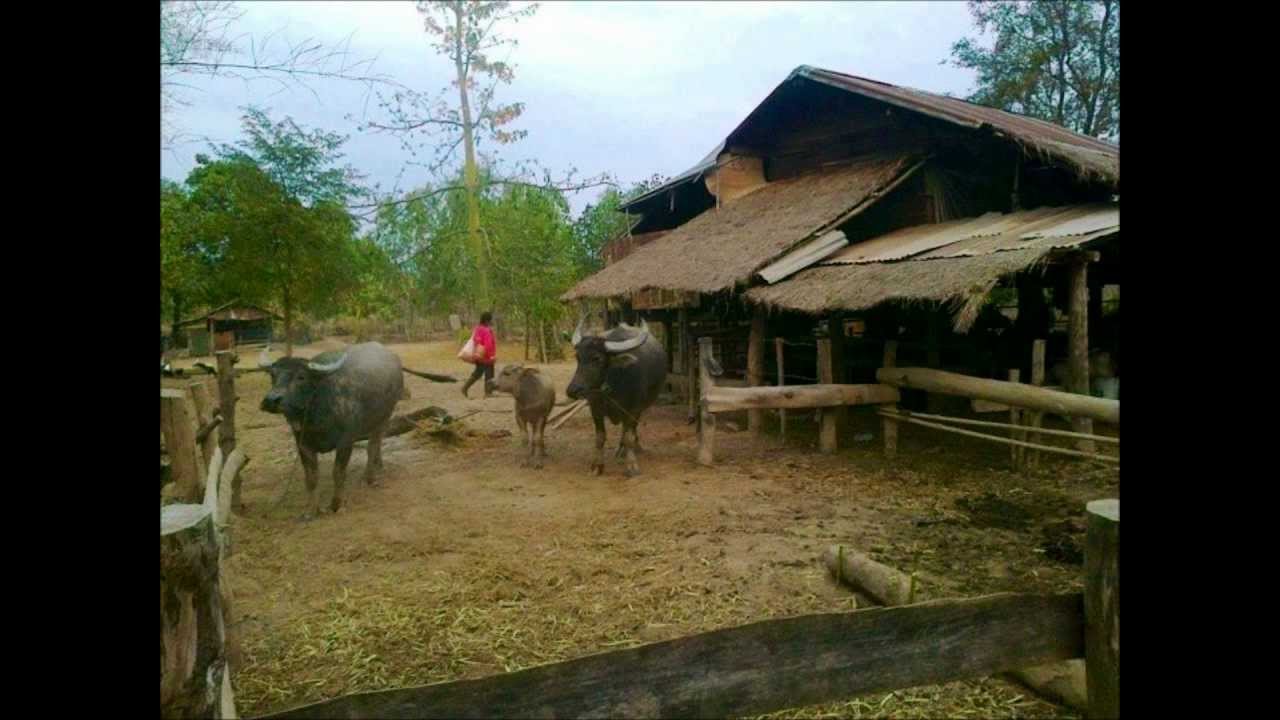วาเลนไทน์ยังไปใต้หนู