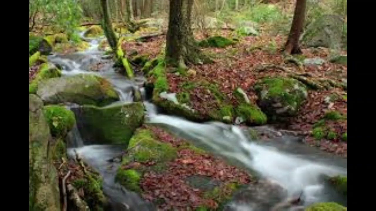 Ismet Krcić - Tekla voda na valove