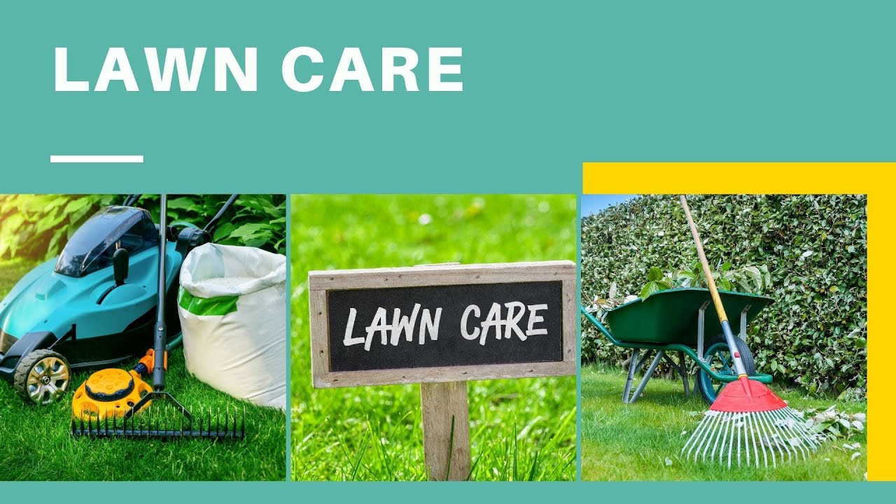 Lawn Care