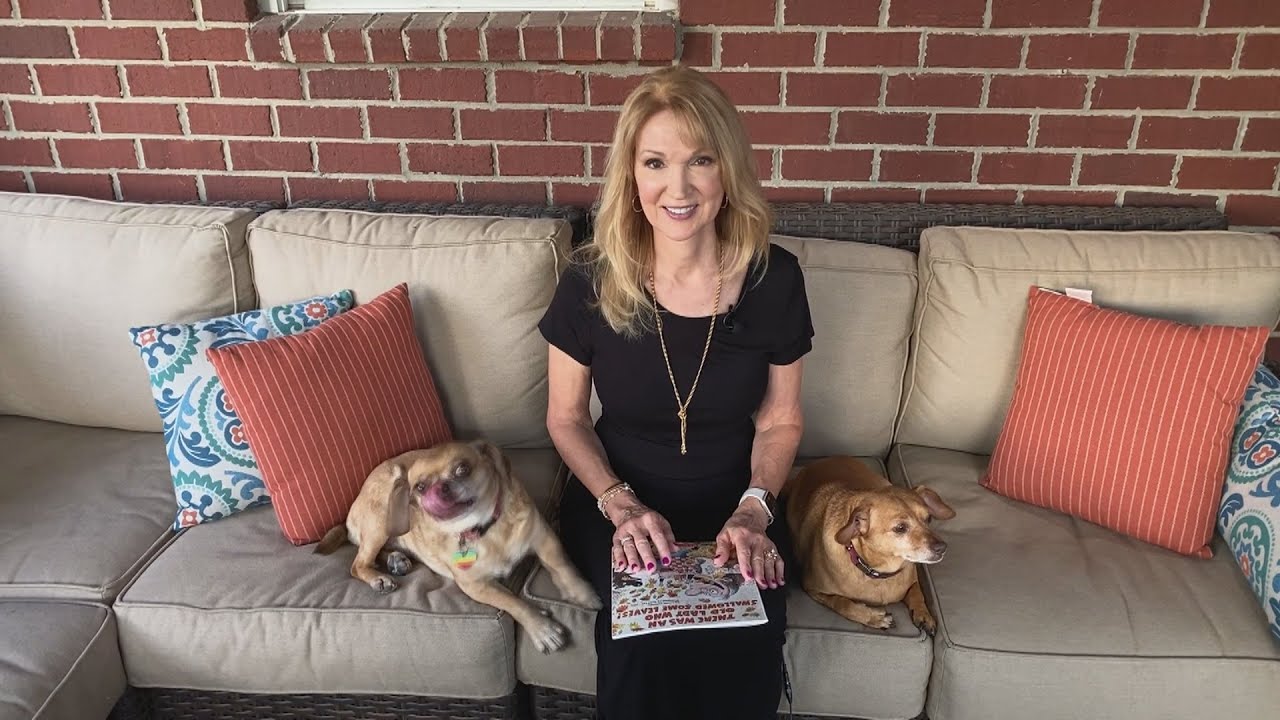 Story Time on the Back Porch: There Was an Old Lady who Swallowed Some Leaves by Lucille Colandro
