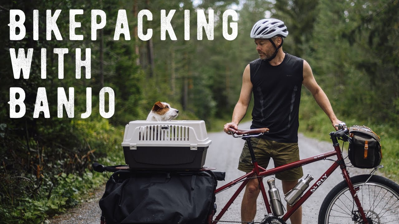 Bikepacking with Banjo the adventure dog