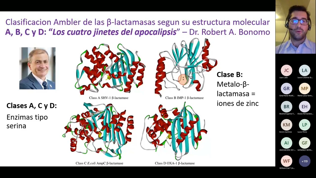 Carbapenemasas, la historia continúa  ...