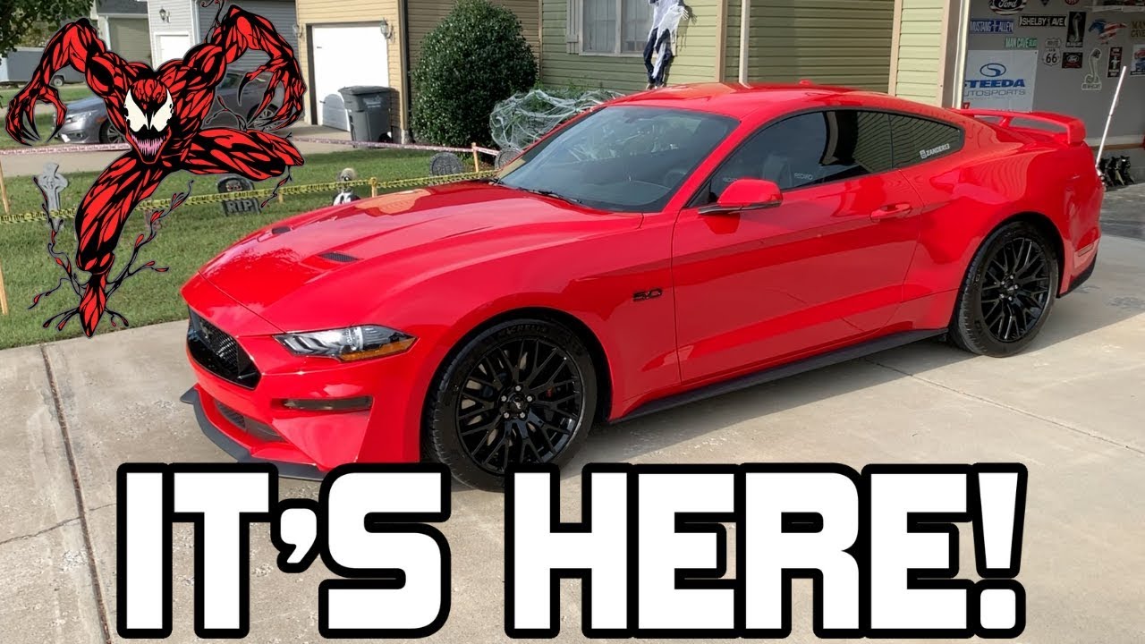 2019 Mustang GT Delivery, Again after Car Accident- Project Carnage is Home