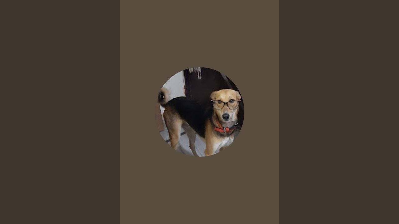 Smart Tail Stories is live