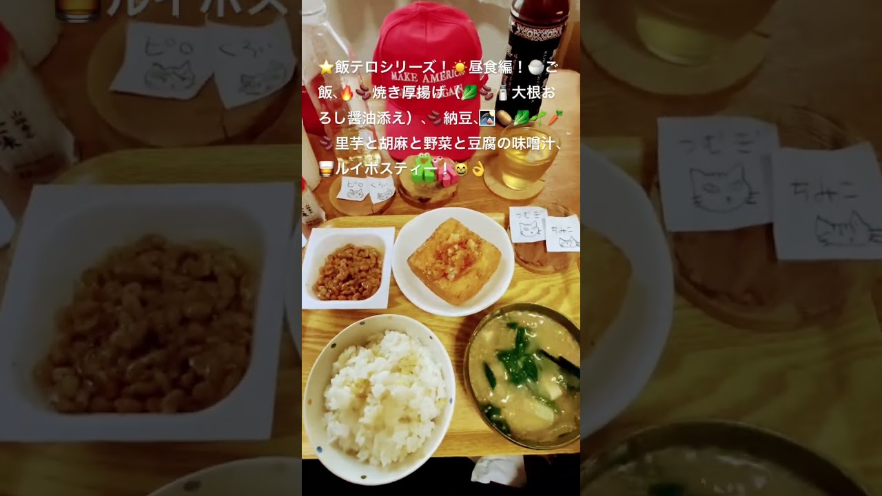 2026年2月15日🌟#飯テロシリーズ#昼食編#ご飯#厚揚げ#納豆#味噌汁#ルイボスティー#lunch#short#blog