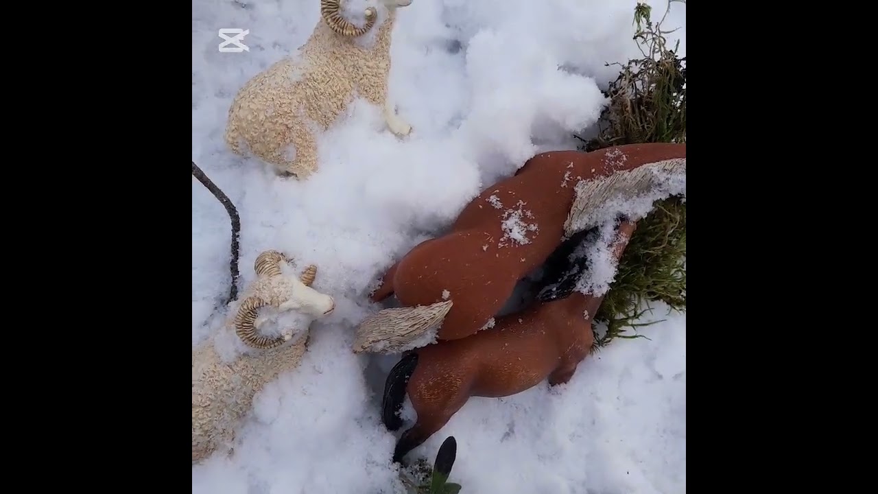 Kausi 1 jakso 13 Pitkä talvi