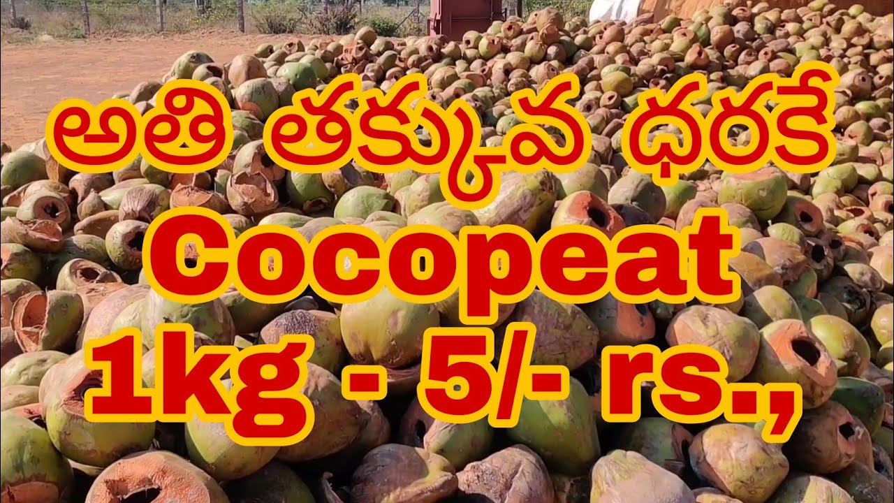 Cocopeat direct manufacturing unit in Hyderabad. Cheapest price 1kg 5/- rs.,