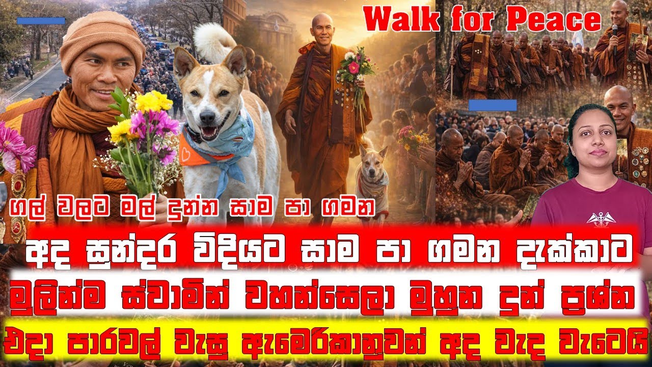 ගල් වලට මල් දුන්න සාම පා ගමන @SandusDiary91