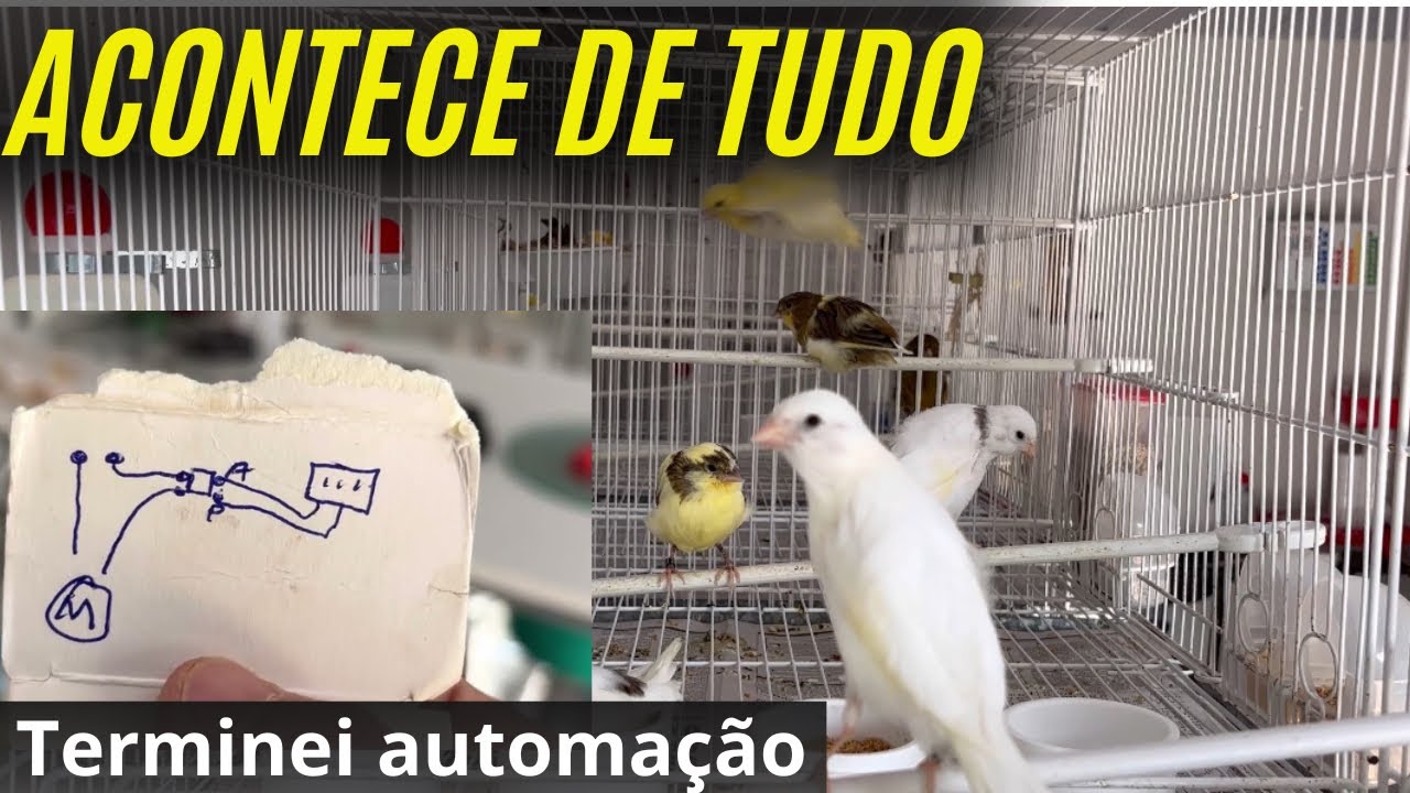 Criar 20 casais,  n&atilde;o &eacute; igual criar 4, acontece de tudo&hellip;