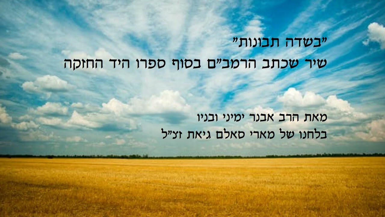 'בשדה תבונות' - הרב אבנר ימיני  BSDE TVUBOT - RABAY AVNER YEMINI