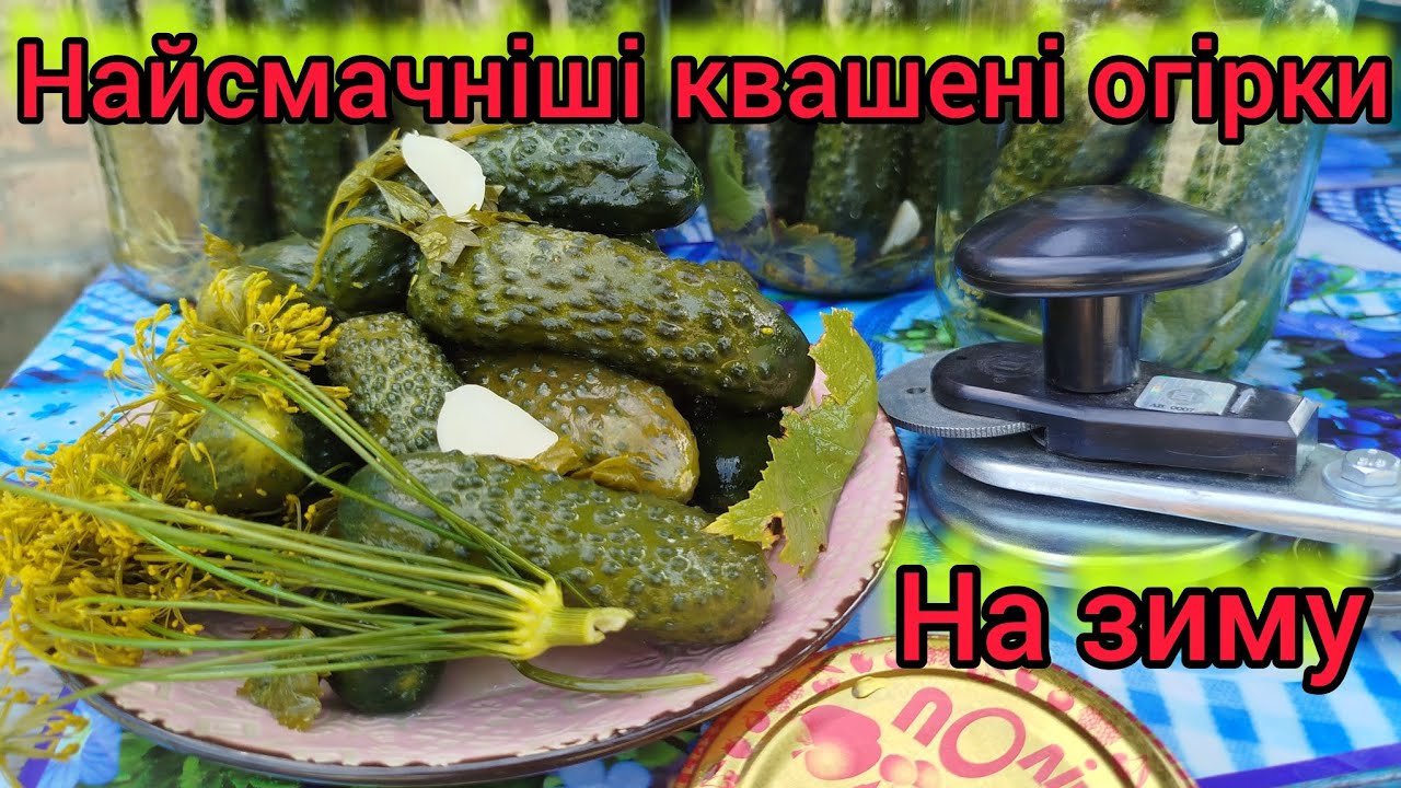 Найсмачніші квашені огірки на зиму.