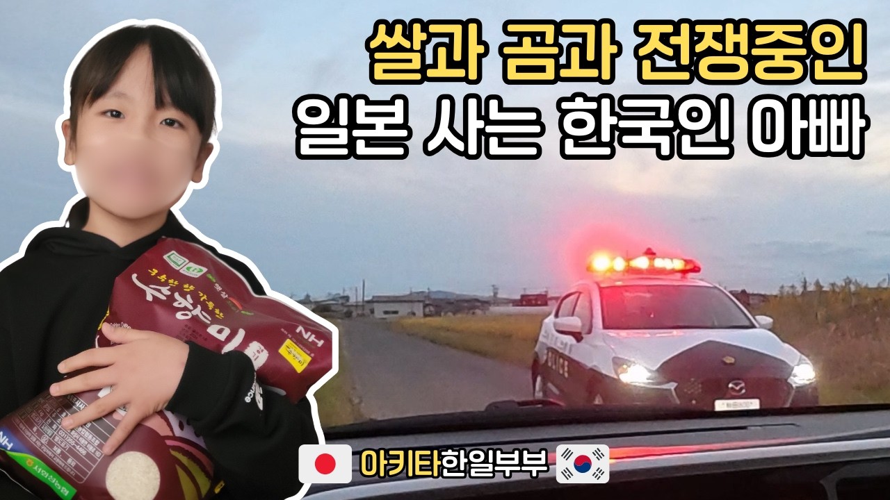 집 앞에서 곰과 마주친 아내,  일본에서 한국 쌀을 처음 먹어본 아이의 반응은?  #국제결혼 #일본생활 #한일부부