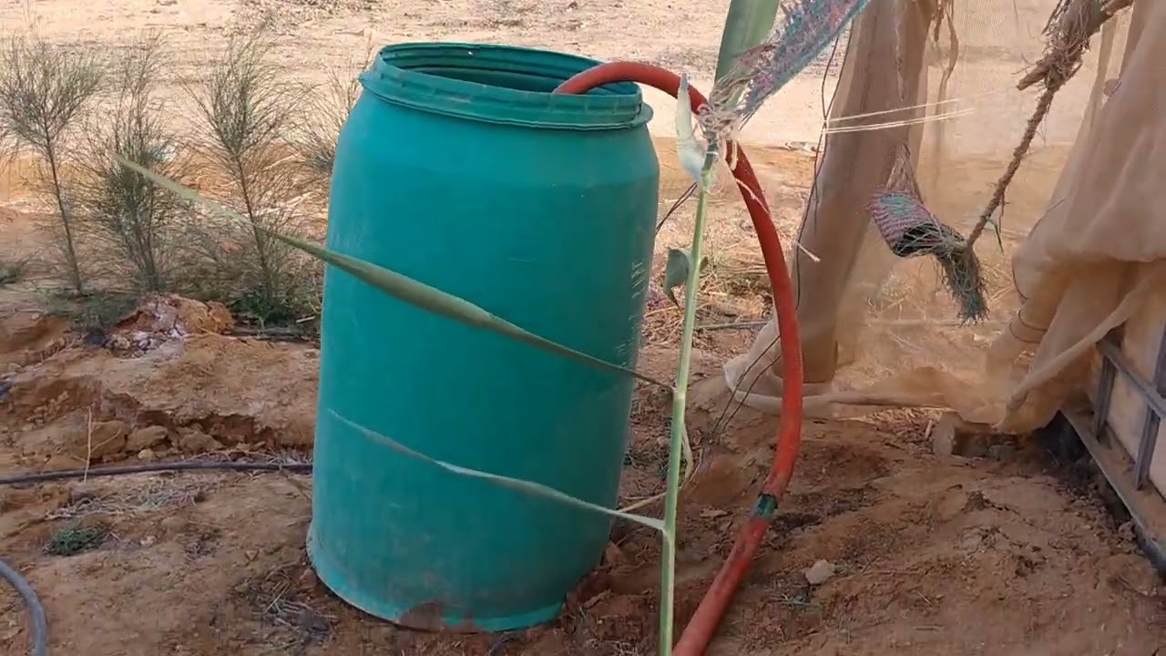 السماد العضوي السائل