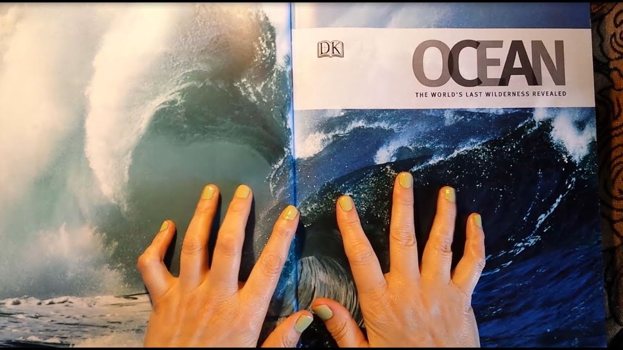 ASMR | All About the Ocean! Whispered Natural History Reading - Part One