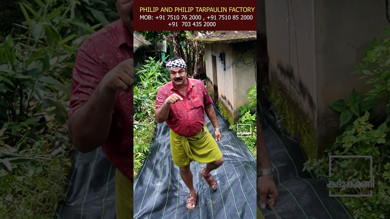കുറഞ്ഞ ചിലവിൽ പറമ്പിലെ പുല്ല് ഈസിയായ് കളയാം | Grass Removing Tips | Home Tips Part:-2 #shorts