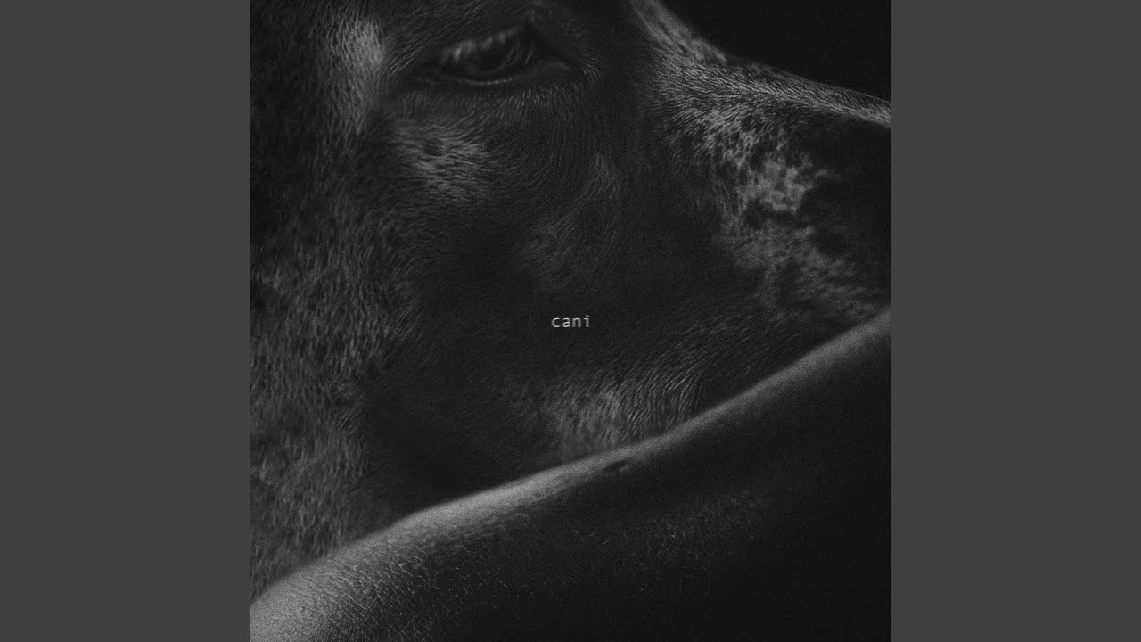 cani