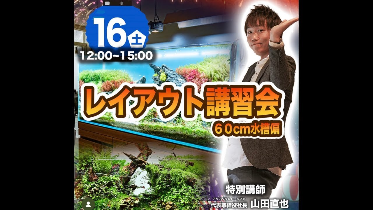 ミナモア広島店にて山田によるレイアウト講習会LIVE【アクアリウムトールマン動画チャンネル！トールマンTV!】