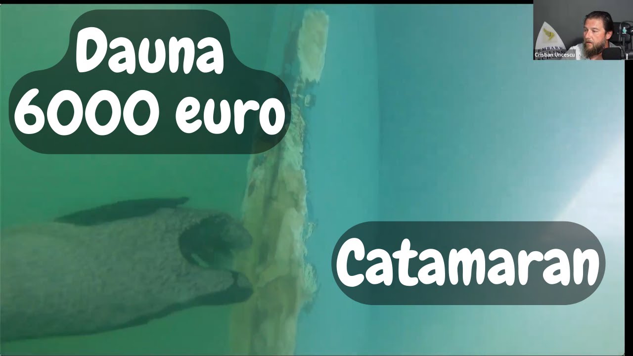Catamaran lovit