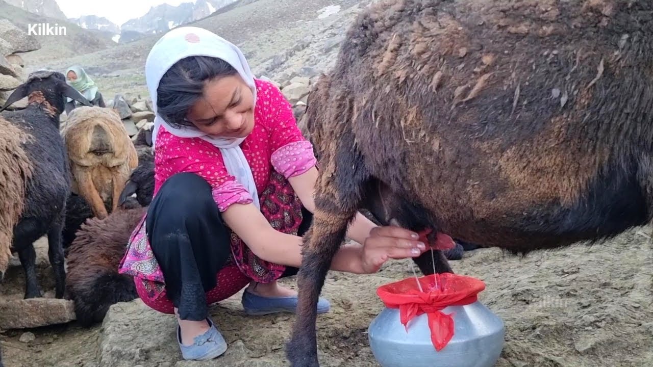 farthest place for nomads to live in Afghanistan