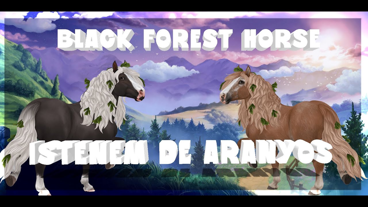 BLACK FOREST HORSES SSO | SZERDAI FRISSITÉS