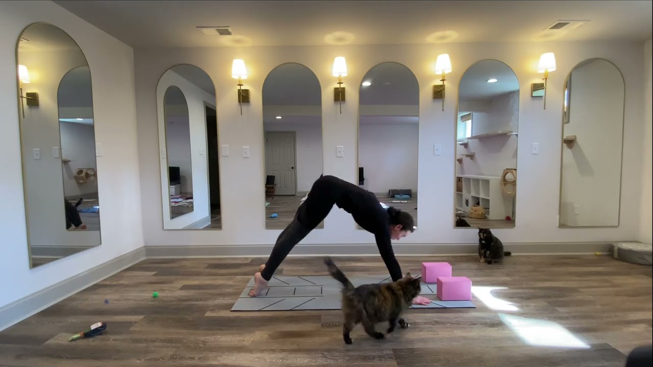 Sun A Vinyasa 