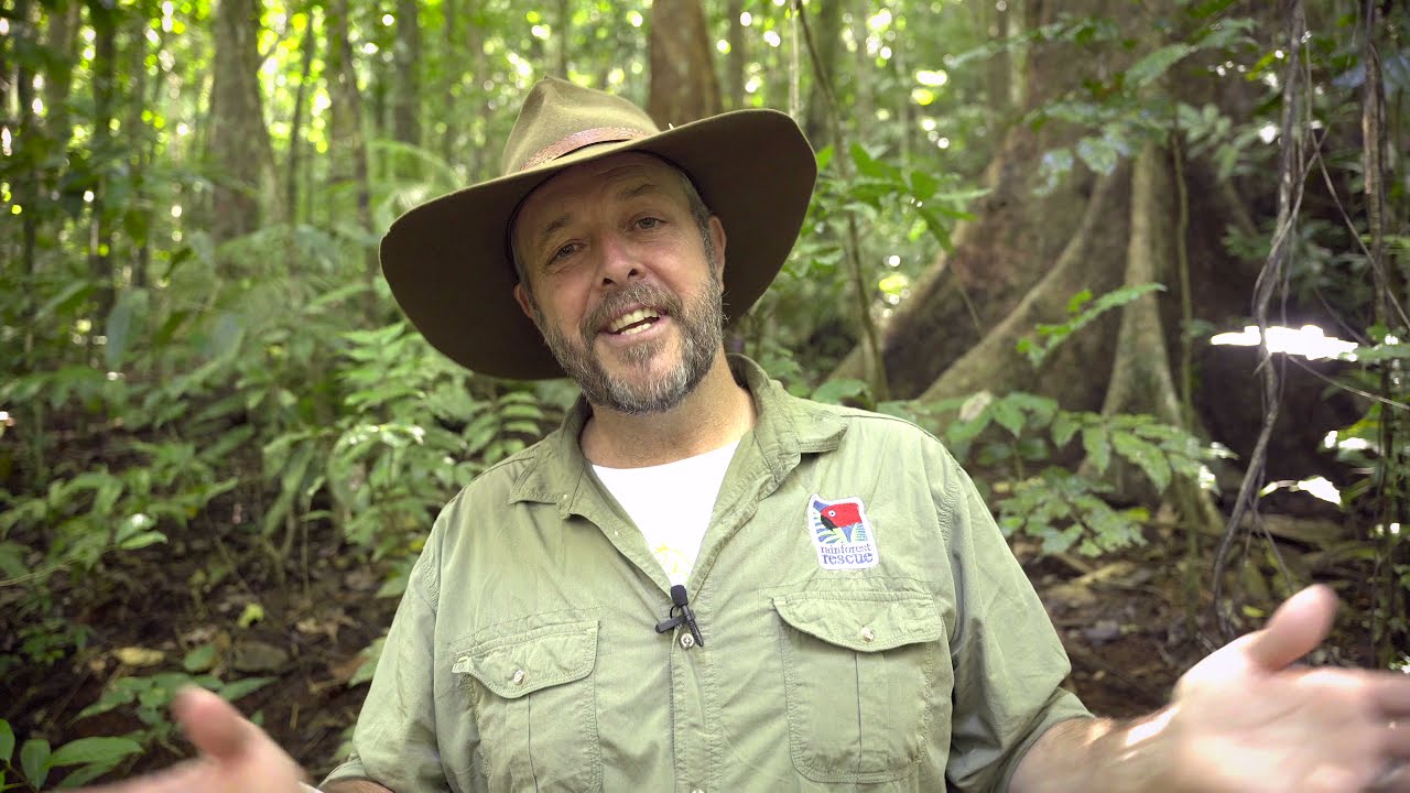 Rescue! Rare and Threatened Daintree Rainforest Parcel - Lot 18 Cape Kimberley