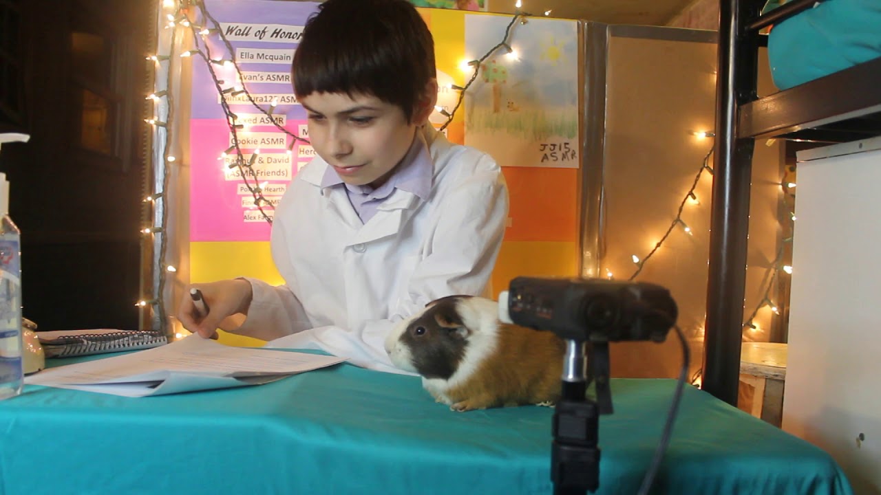 ASMR - Vet Check-Up on Guinea Pig Roleplay!