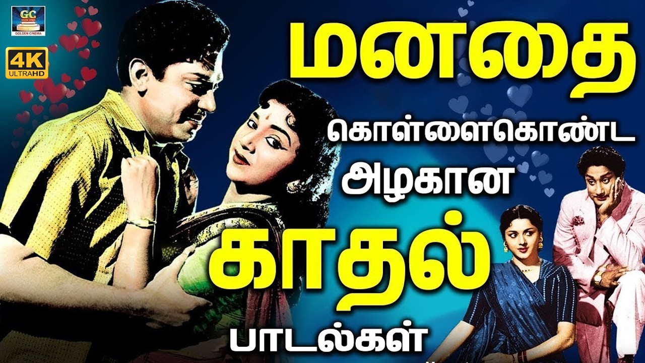 மனதை கொள்ளைகொண்ட அழகான காதல் பாடல்கள் | Romantic Hits Of The Golden Age | TMS Love Songs.