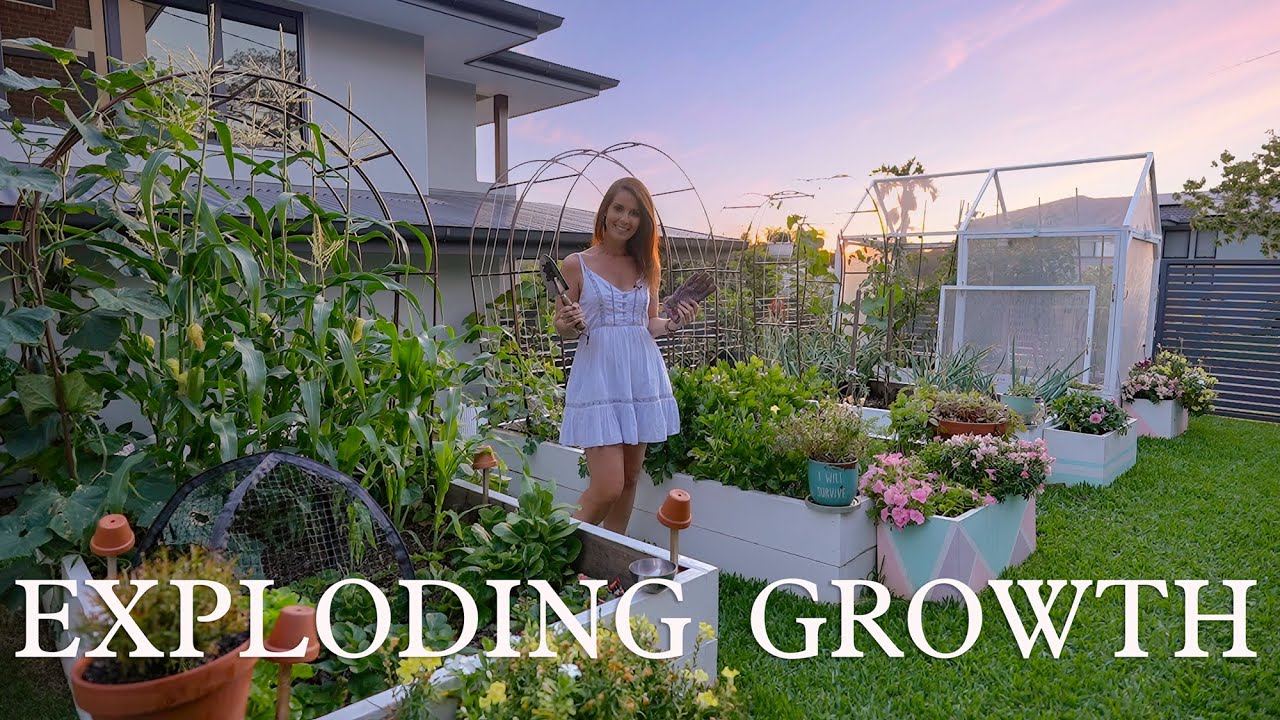 Сад расцветает! Ноябрьская посадка + прогулка по саду