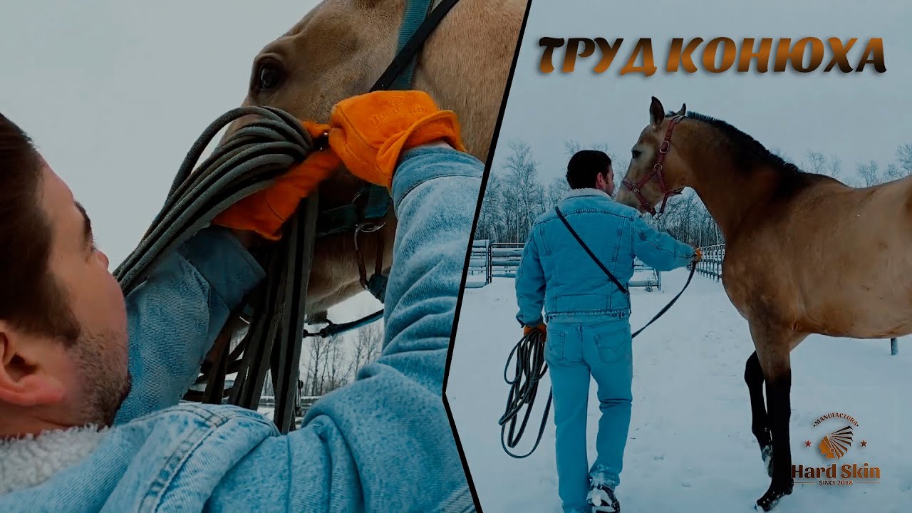 Нелёгкий и важный труд конюха. Manufactura Hard Skin знает как помочь.